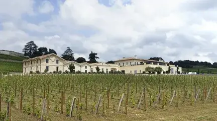 Château Pavie, Saint-Émilion, France